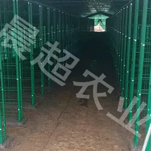 培菌网格架规格-福建网格架-河北晨超