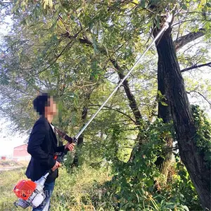 ��ͩ���͸�֦����� ���������������;� ��ʥ
