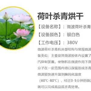 茶叶杀青机 复合式光波微波茶叶杀青设备