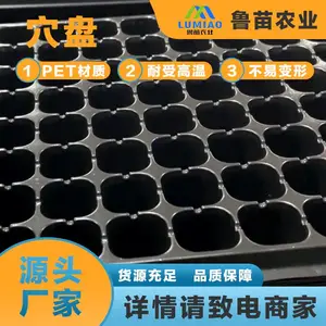 ������ Ѩ�� pet���� ��ɹ���ϻ� ���� �����ѡ��