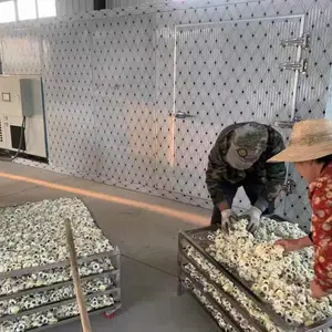 贡菊烘干机小白菊烘干机金丝黄菊烘干机玫瑰花烘干机