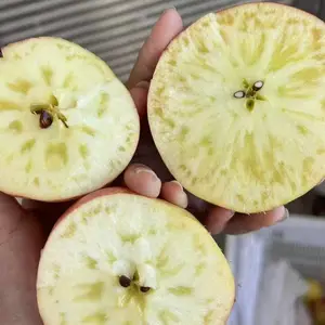 ��ɽ��ԭ���ع�Ӧ������ͨ��ƻ��������ƻ����ԭ�ز�