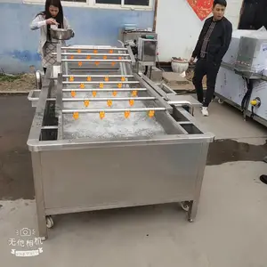 商用气泡清洗机洗菜机果蔬清洗设备白菜加工设备净菜清洗机
