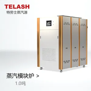 上海特劳士1.0吨智能变频蒸汽模块炉,节能环保蒸汽热源机