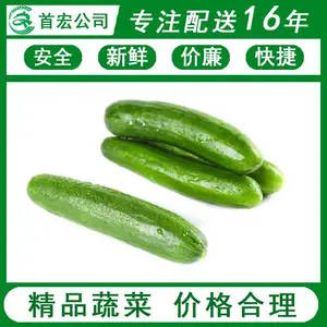 东莞生鲜蔬菜配送app平台-首宏蔬菜配送公司