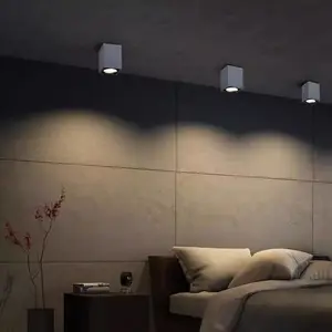 Բ������COB��װ�컨����� ��ˮ��װͲ��ͥԺ�� �������ĵƾ�