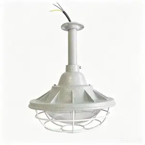 LED防爆灯 粉尘防爆灯 BCD1603-30W防爆地雷灯