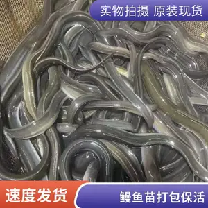 �����糧�ҹ�Ӧ �������� ˮ�������ֳ�������������