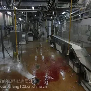 江苏欧麦朗屠宰场空气能高温热泵热水工程