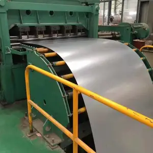 ���϶�п�� �Ϻ�SGCC���϶�п �����޻���п��