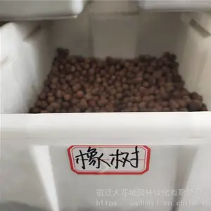 �����²�ժ��ľ���� �������� ��ѿ*** �۸���� ***