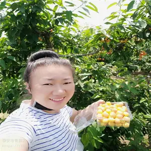 ��ӣ���� ����ũҵ ������ӣ���� ���س���