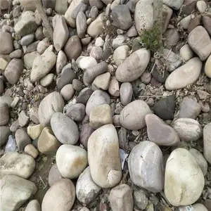 �ֹ���ѡ��Ȼ����ʯ�����ȫ �糧���վ ��԰�̻�Ч���� ��ï��ˮ