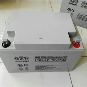 ɭ��������LT24-12 12V24AH���´�����Ŀ��������