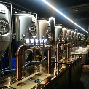 年产2万吨大型精酿啤酒工厂设备建设