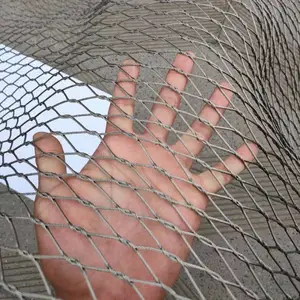 ���� ����԰ �������� �̳� �������Է�������ȫΧ���������������̩