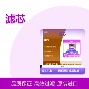 R928005891 1.0160 PWR10-A00-0-M 德国汉格斯特HENGST滤芯
