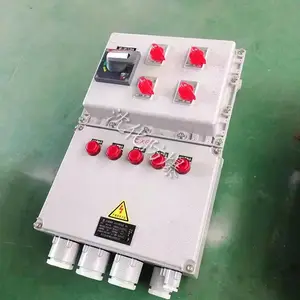 BXM(D)防爆照明动力配电箱 IIBT6不锈钢检修插座电源箱 磁力启动器