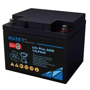 法国RUZEU路盛蓄电池12LPA40铅酸蓄电池12V-40AH直流屏UPS/EPS机房储能