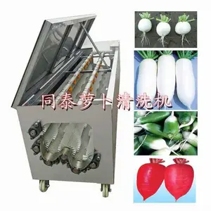 6辊小型白萝卜清洗机 自动洗萝卜机