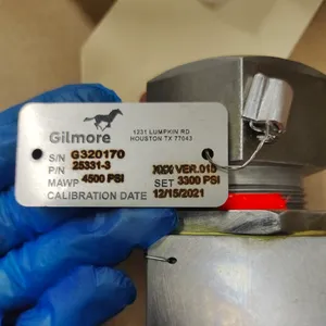 ���ƹ�Ӧ Gilmore Valve ��ȫ�� 25331-3
