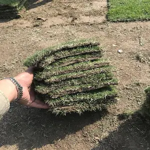���ϳ��ݲ�Ƥ ��������Ƥ�۸� ̨��ݾ����� �̻���Ƥ