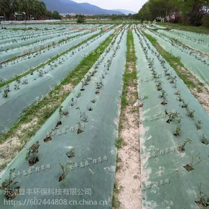 生态防草布