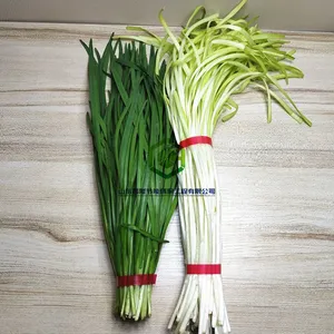 无胶环保青菜扎捆机 便当盒子自动捆扎机 精品店礼品打包设备