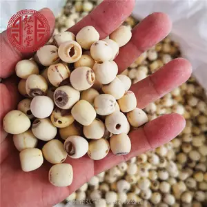 弘宝堂莲子药食同源 无硫莲子干品出售取芯莲子