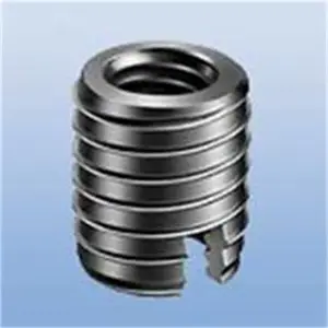 AMTEC��ĸ