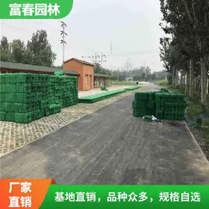 ���� �˹������нӰ�װʩ��ˮ��ֲ����ֲ�������� ˮ���̻� ����