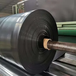 中国山东泰安厂家供应8米宽2.0mm厚GRIGM13美标hdpe土工膜