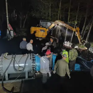 ������ˮ�ŷű�վ 600QZB��������Ǳˮ������ ��ʽũ���ȴ�����