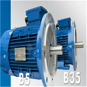 �¹�Pfeiffer Elektromotoren����