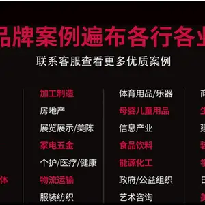 品牌出海视觉设计，品牌出海VI设计，出海品牌网站建设独立站设计开发，出海品牌独立站开发设计找标派视觉