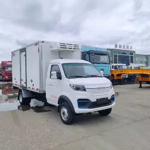 冷冻车疫苗冷链车油耗低雪糕冷饮新能源上户无忧全国供应面包式