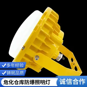 粉尘车间防爆灯 粉料厂房防尘隔爆型 LED 长条照明灯