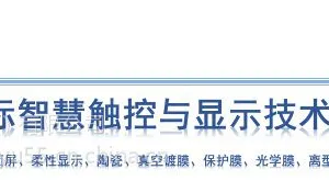 2019触控与显示技术展览会