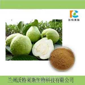 ��Ҷ����ȡ��10:1 ��ȡҺ Ũ���� ԭ�� ���ֹ�� 1kg�� ����