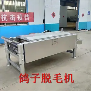 加工鸽子自动脱毛机 22辊乳鸽专用打毛机