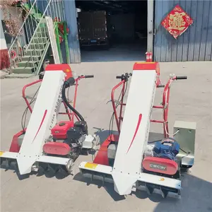 �չ�װ���� �³�����ʽ˫�������չȻ� ɹ��������