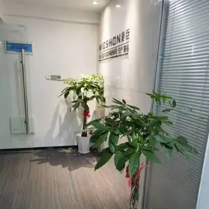 深圳市麦臣科技有限公司