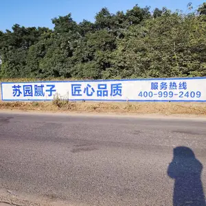 ������ˮ�ֻ�ǽ���� ��Ȫ���ǽ�廭 �������