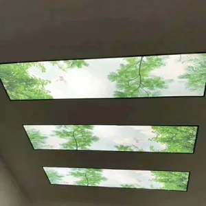 μ����μ��������˫Ԫ�̳Ƿ�װ�꡶��Ĥ�컨��͸����䰲װ