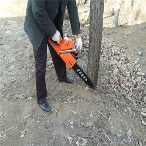 ���������������� ������Я������������ ���Ϲ�����������