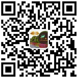 江苏优之林景观工程有限公司