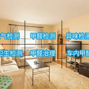 贵阳异味检测一次多少钱 欢迎咨询 贵阳聚丰林供应
