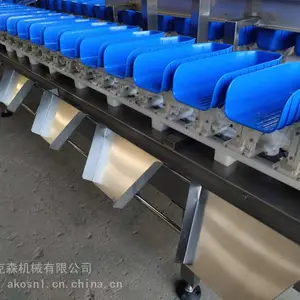 厂家源头重量分选机 大虾重量分级机 海鲜类在线自动称重机 加工定制