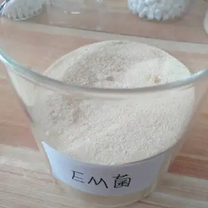 山东济宁供应微生物菌剂EM菌粉水产农业专用