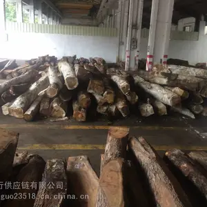 ������̴ľ�Ľ������ح��ɳ�۽��ڱ��ط���ح�����������